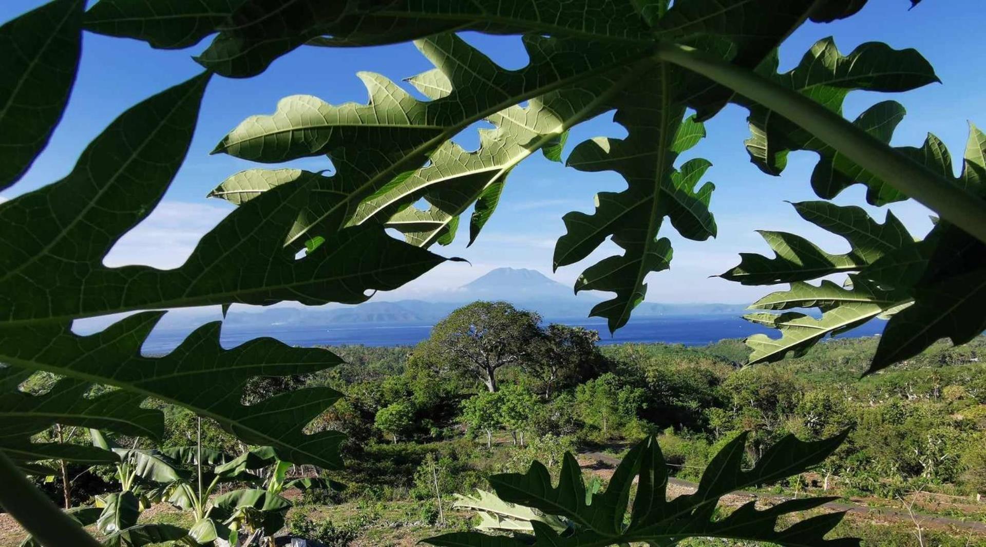 Eden Eco-Villas With Private Pool & Sea View - Adult Only Batumadeg 外观 照片